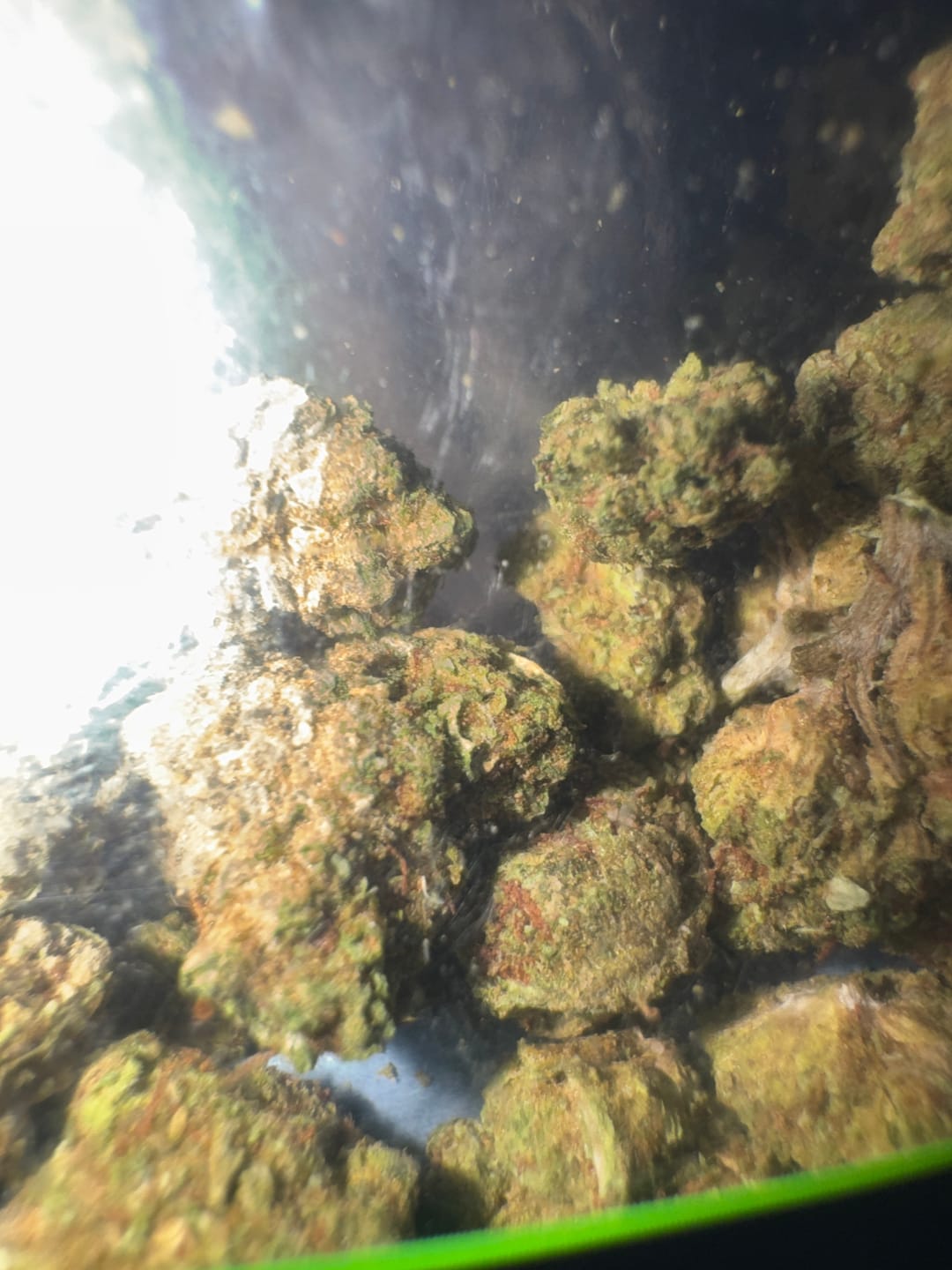 Customer photo review of Cheap THCA Smalls Ounce