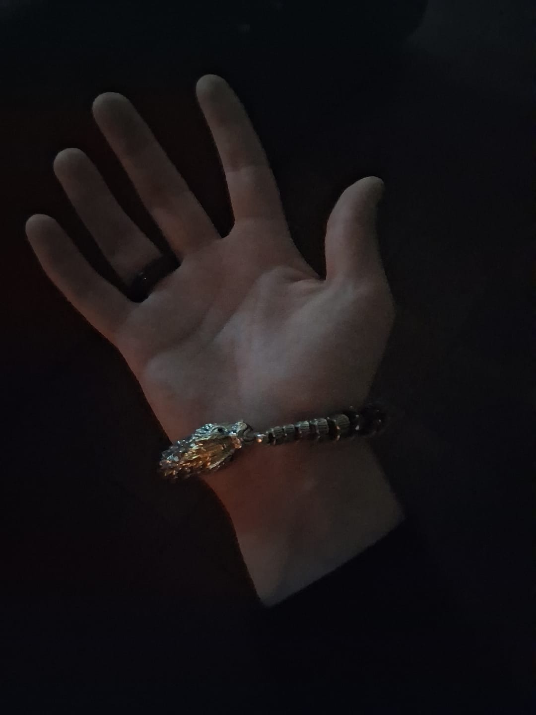 Customer photo review of Jörmungandr - The World Serpent Bracelet