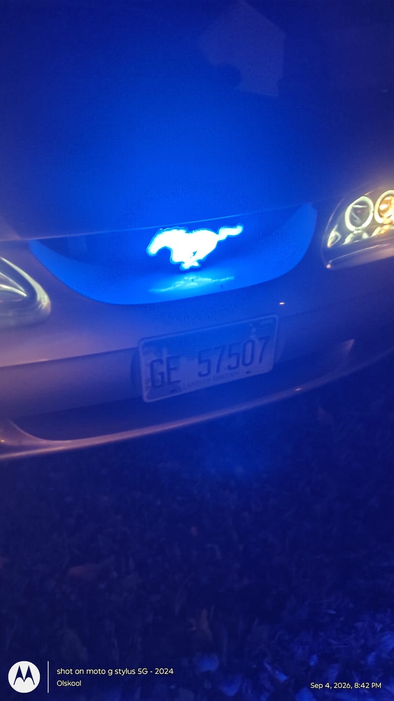 Customer photo review of Ford Mustang Illuminated Logo-Light Up Pony Badge for Ford Mustang & Mach-E,Perfect for Front Grill, Trunk, and Rear