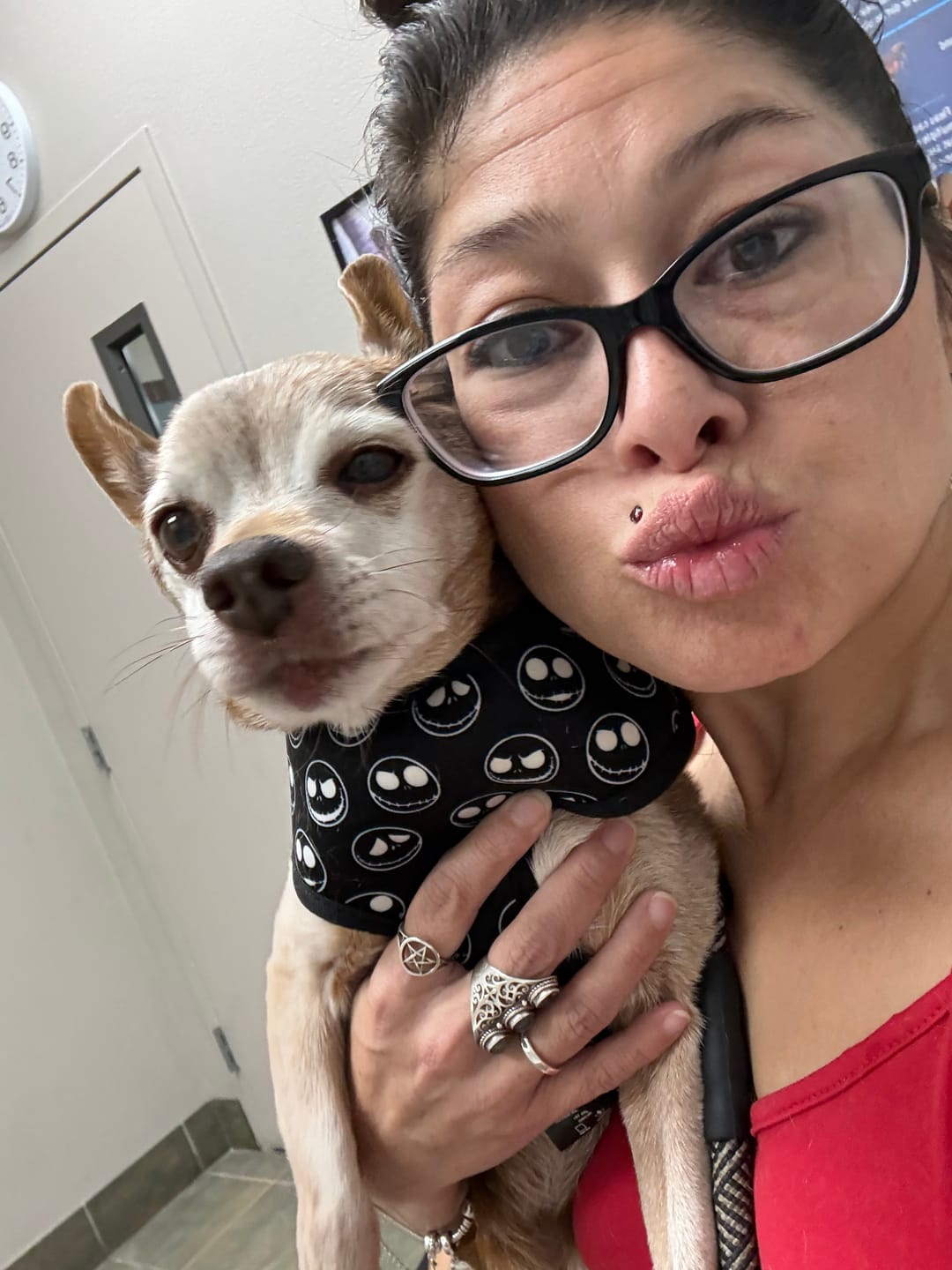 Customer photo review of Pet Shampoo Bar – Peony & Vanilla