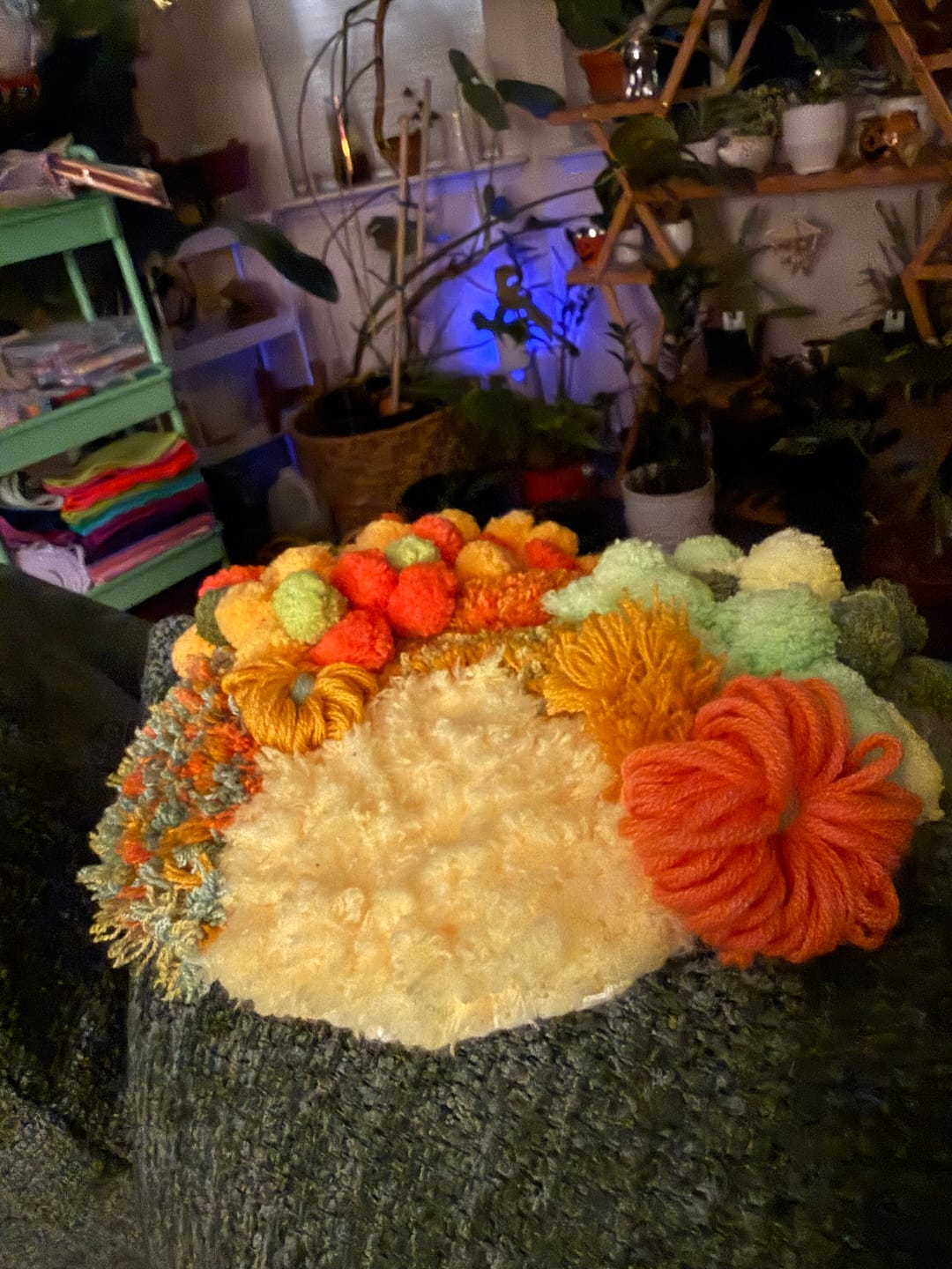 Customer photo review of SUNFLOWER - Moss Coaster Kit