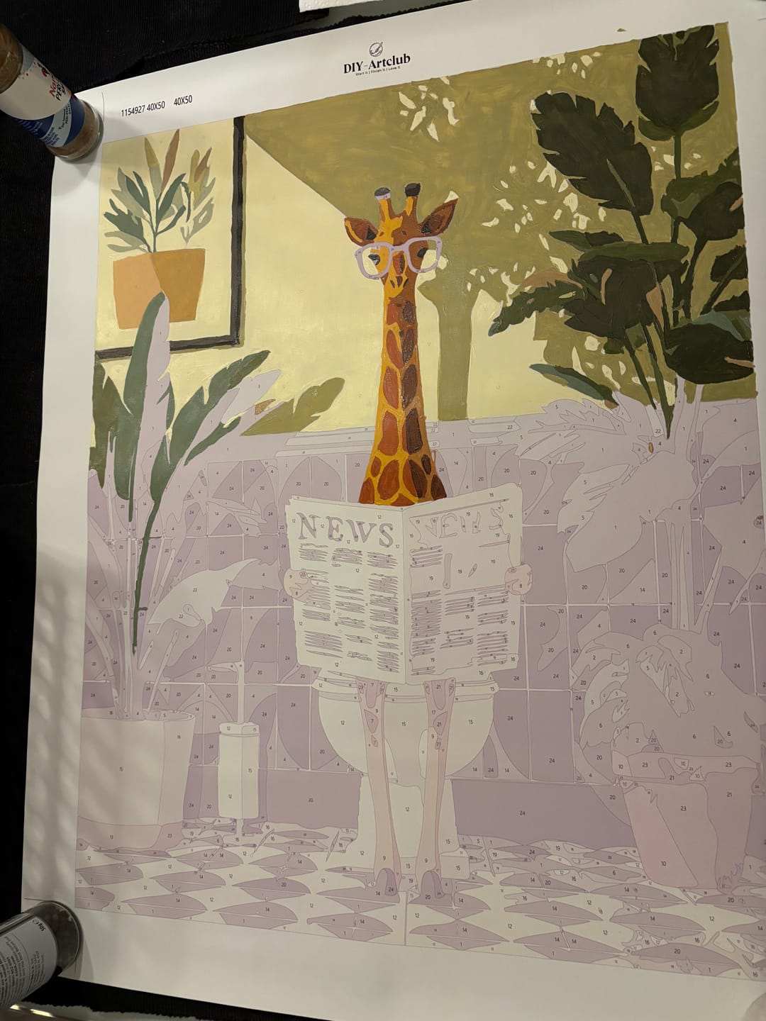 Customer photo review of Giraffe News | Paint by Number