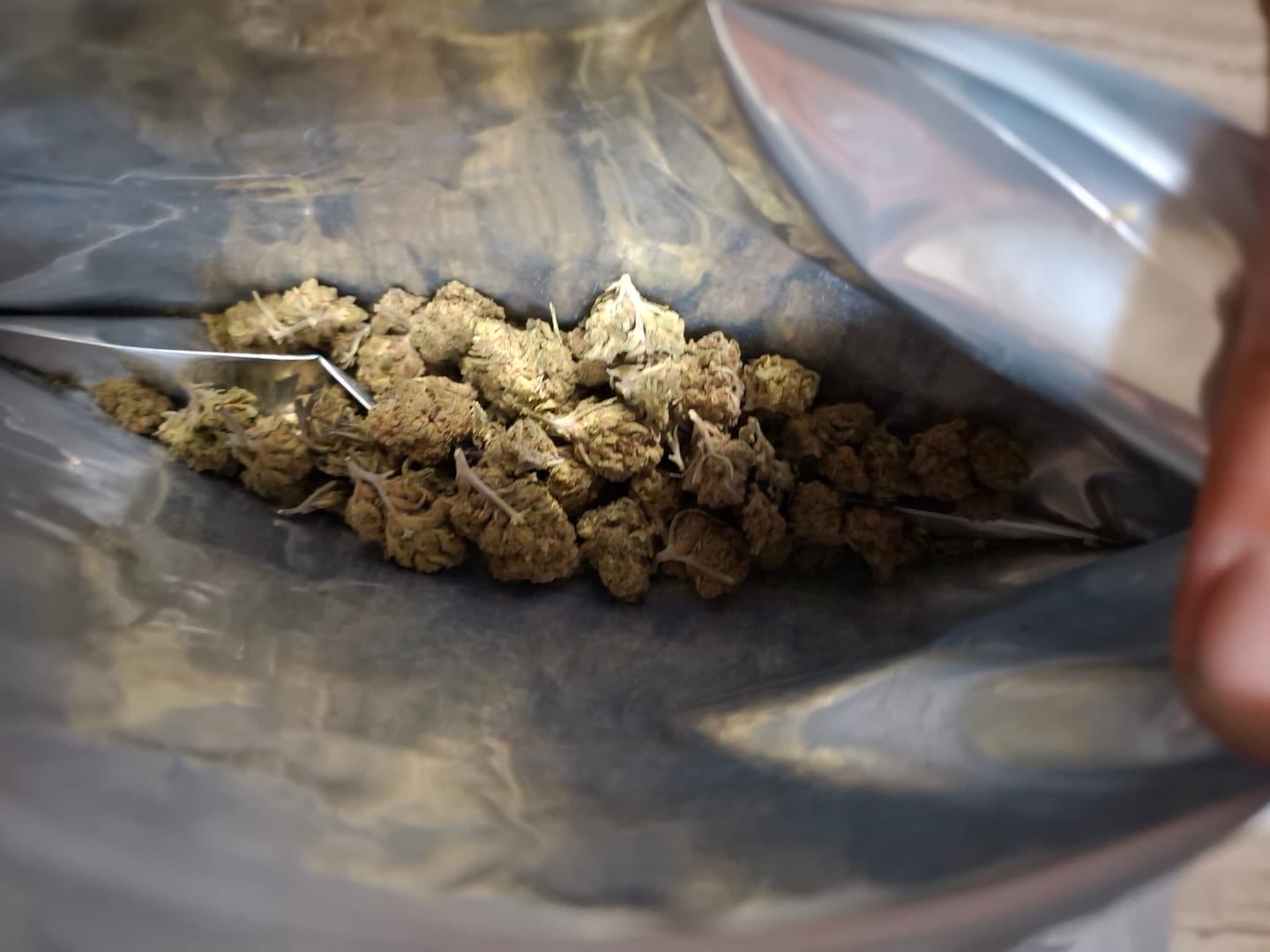 Customer photo review of Light Assist THCA Smalls