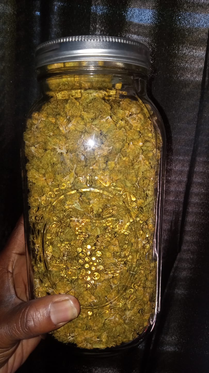 Customer photo review of THCA Flower Budget Buds