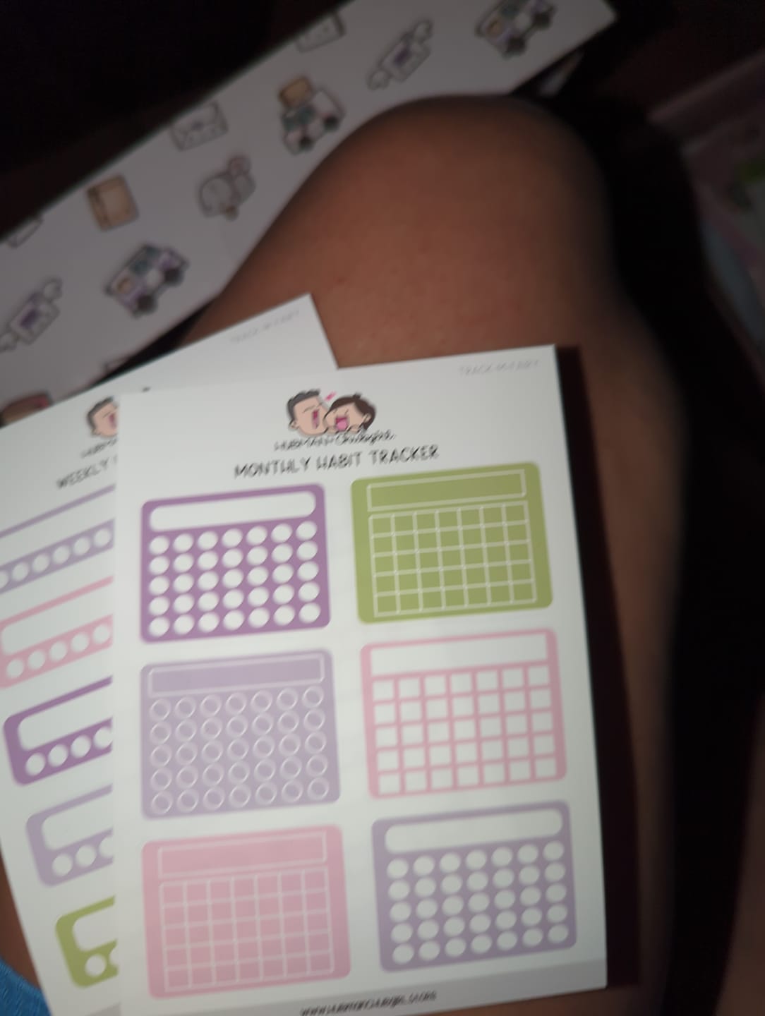 Customer photo review of Fairy Garden Journaling Extras Sticker Set