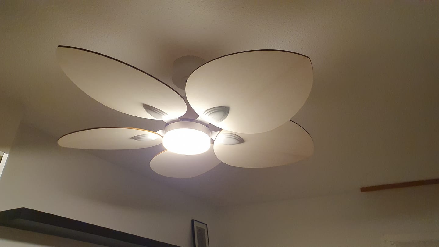 Customer photo review of Dahlia | Ventilateur de plafond