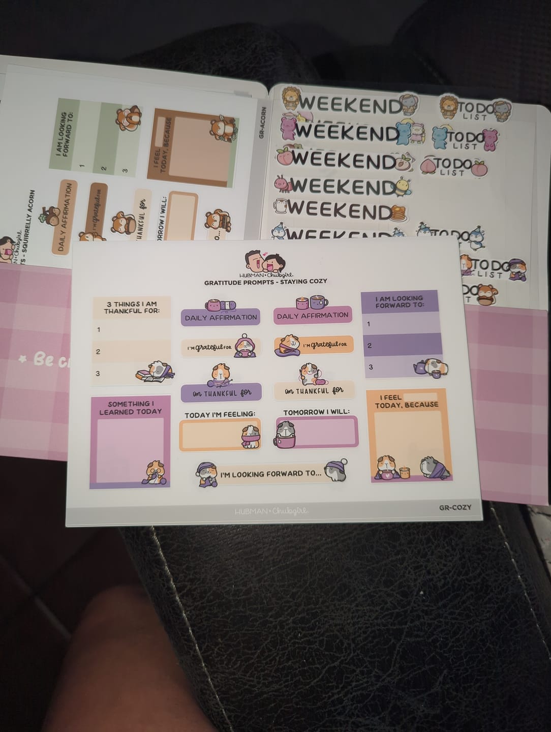 Customer photo review of Sticker Sheet - Gratitude Prompts Staying Cozy Theme