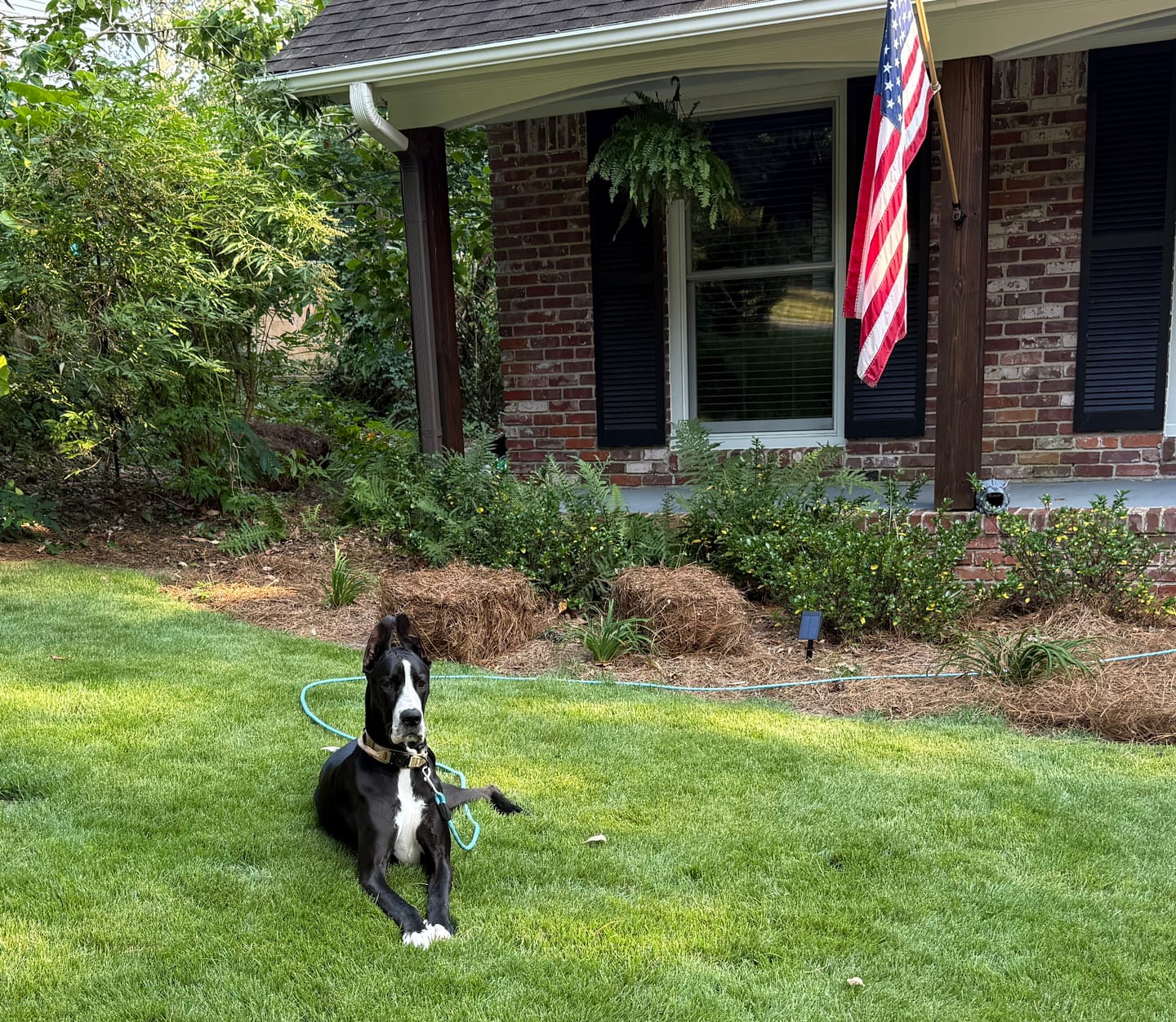Customer photo review of 3' x 5' American Flag Set