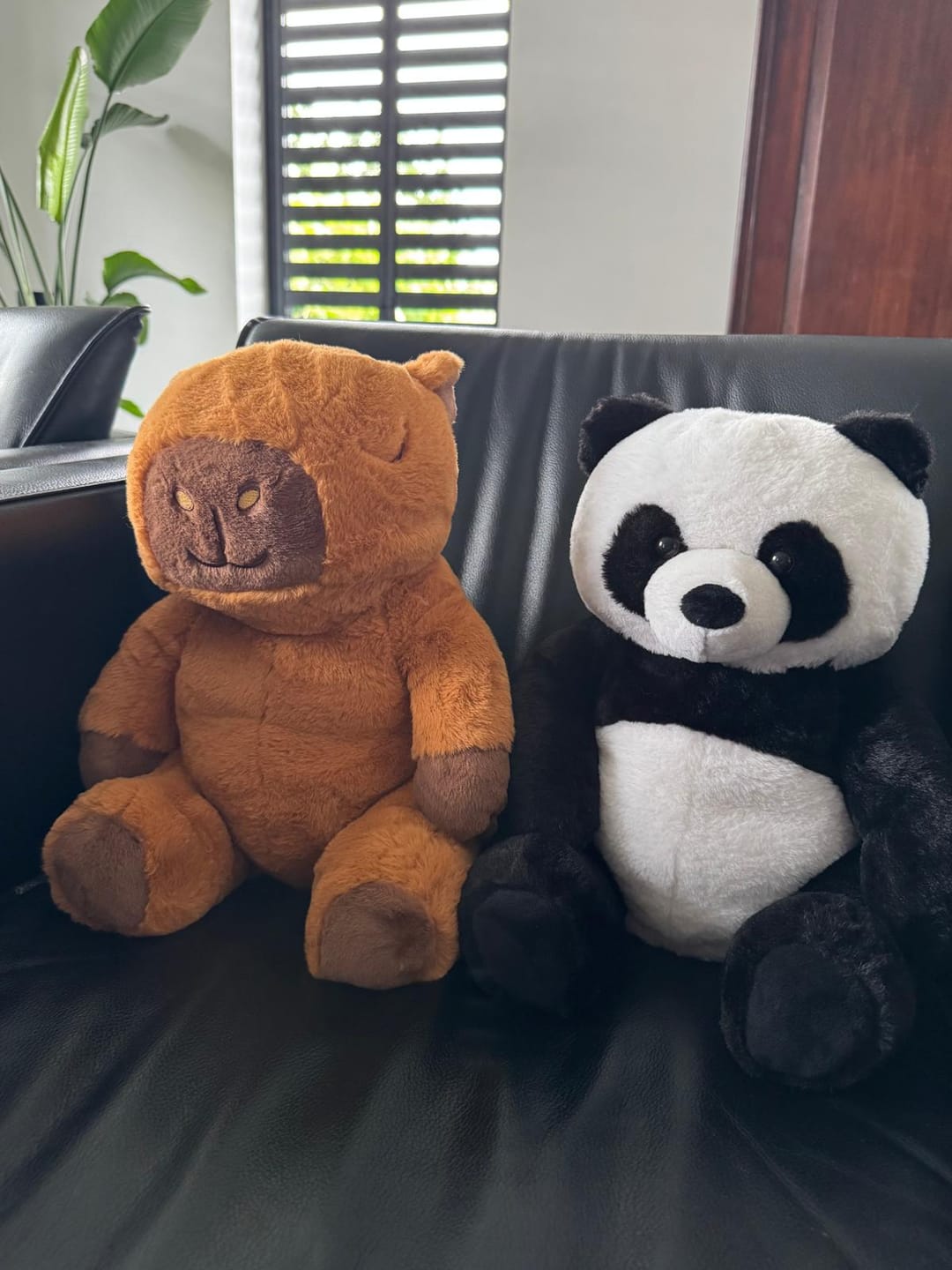 Customer photo review of Huggle Buddy Panda Verzwaringsknuffel (2kg)