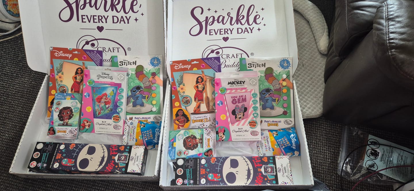 Customer photo review of Disney Crystal Art Mystery Box