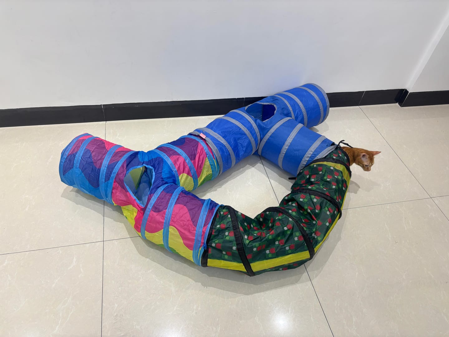 Customer photo review of 3 Way Collapsible Cat Tunnel