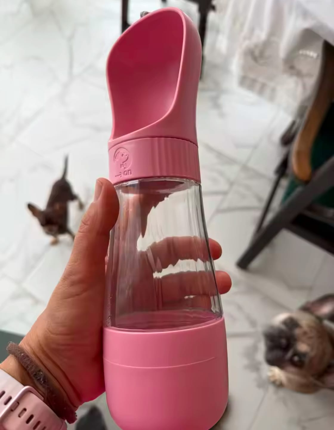 Customer photo review of Gourde portable avec gamelle integré
