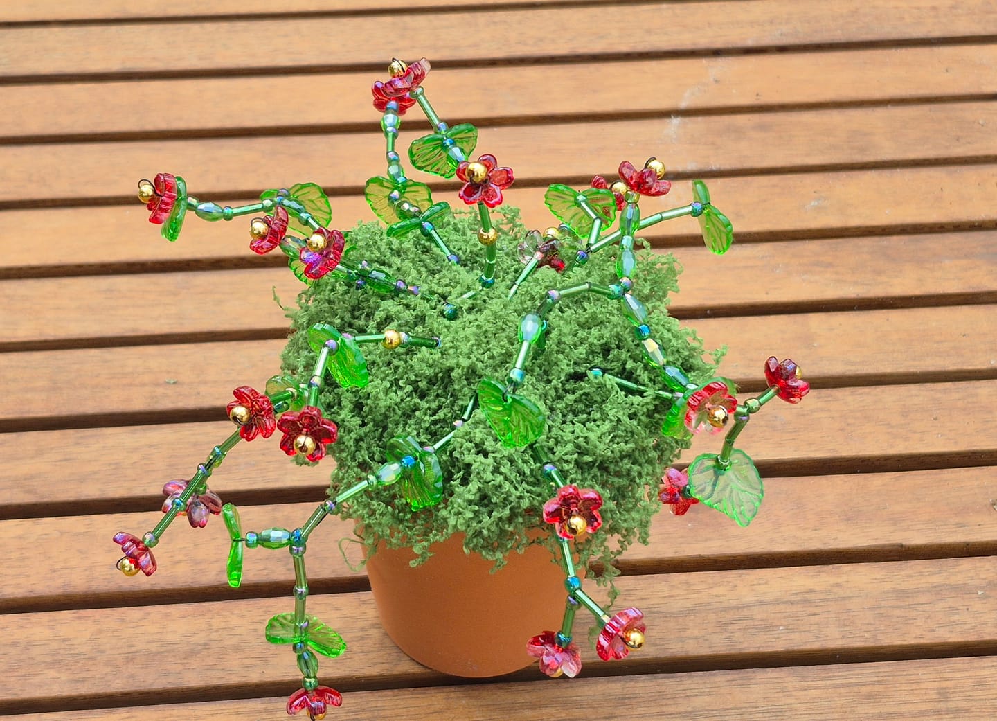 Customer photo review of Maak thuis je eigen kralenplant - Rode Bloei