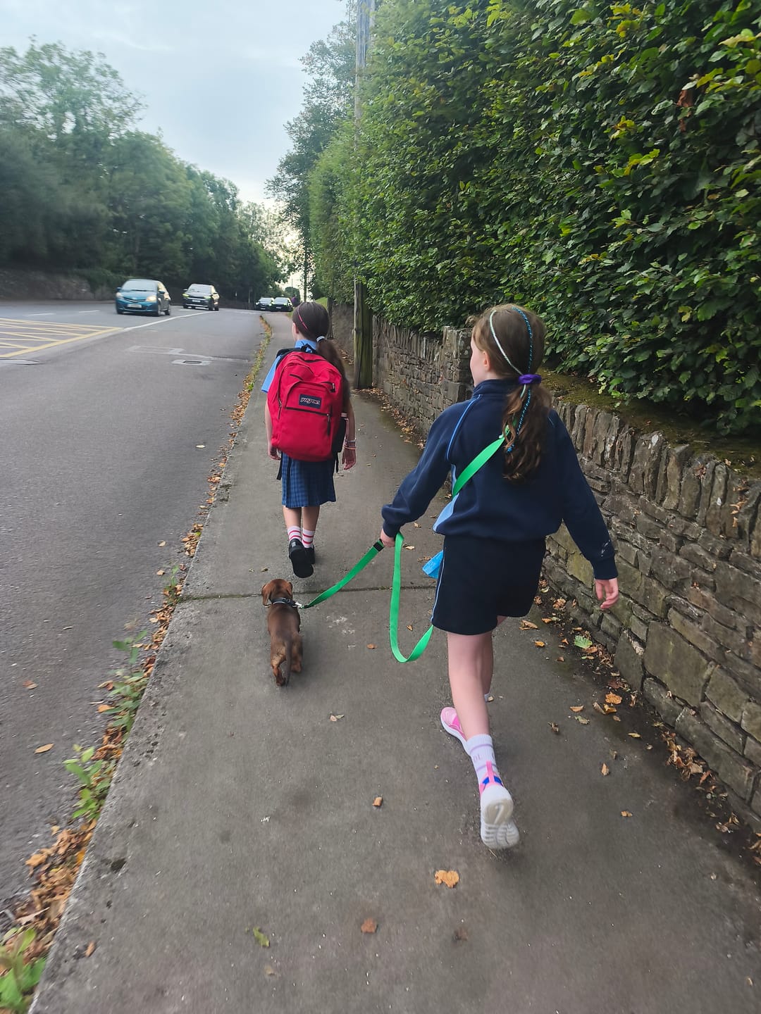 Customer photo review of City Leash Traffic Grip