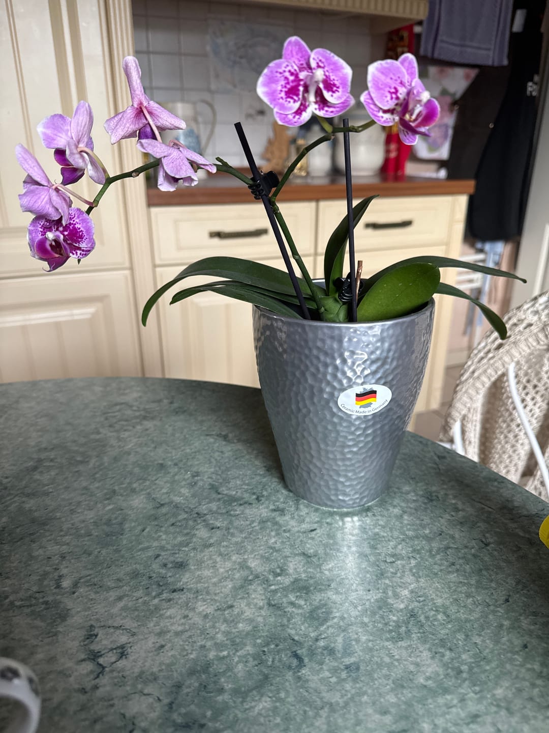 Customer photo review of Table Dance Diamond Girl mit pink getupften Blüten und 2 Rispen