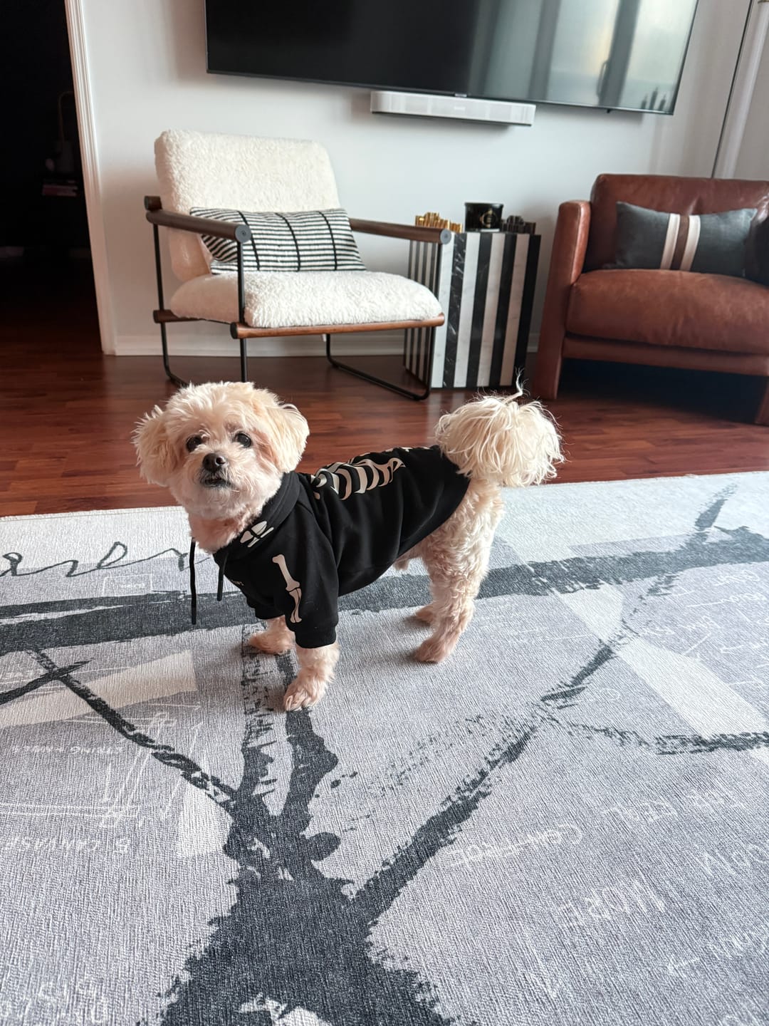 Customer photo review of Halloween Human Hoodie - Reflective Skeleton