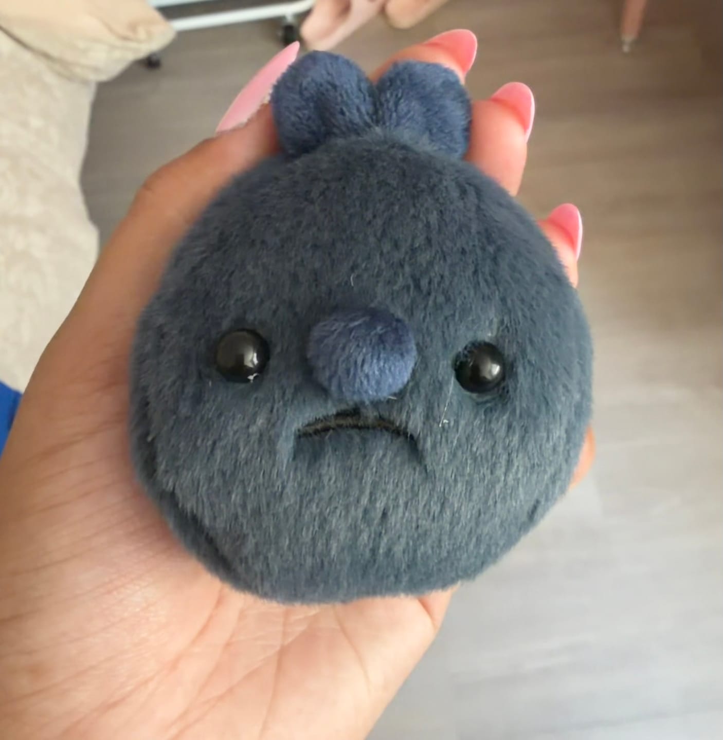 Customer photo review of Forgotten Single Blueberry