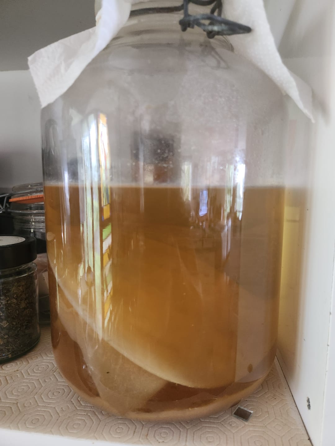 Customer photo review of Jun SCOBY