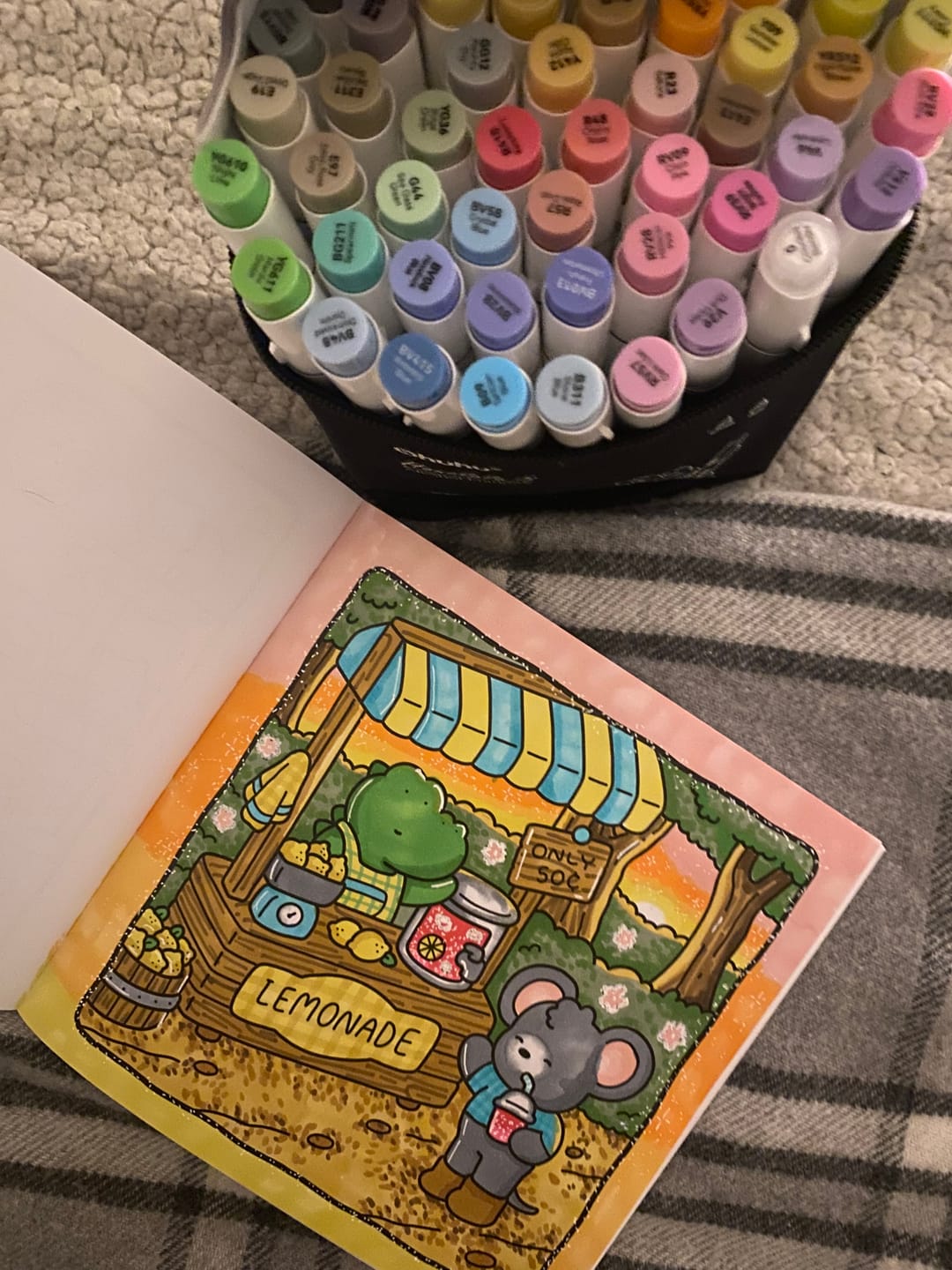 Customer photo review of Ohuhu Honolulu 48 Mid-tone Colors Dual Tips Alcohol Art Markers (Europe Only)