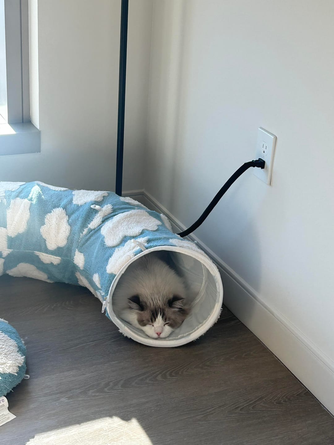 Customer photo review of 3 Way Collapsible Cat Tunnel