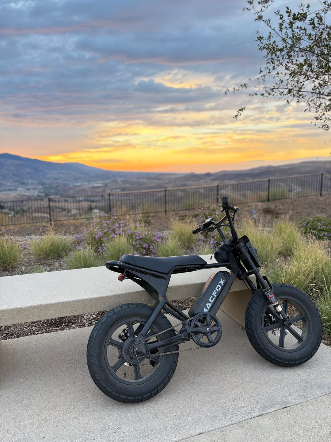 Customer photo review of Macfox E-bike M16