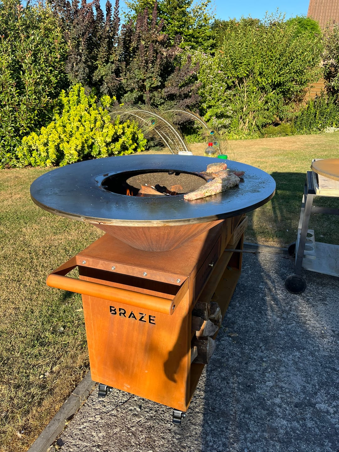 Customer photo review of BRAZE | Orion