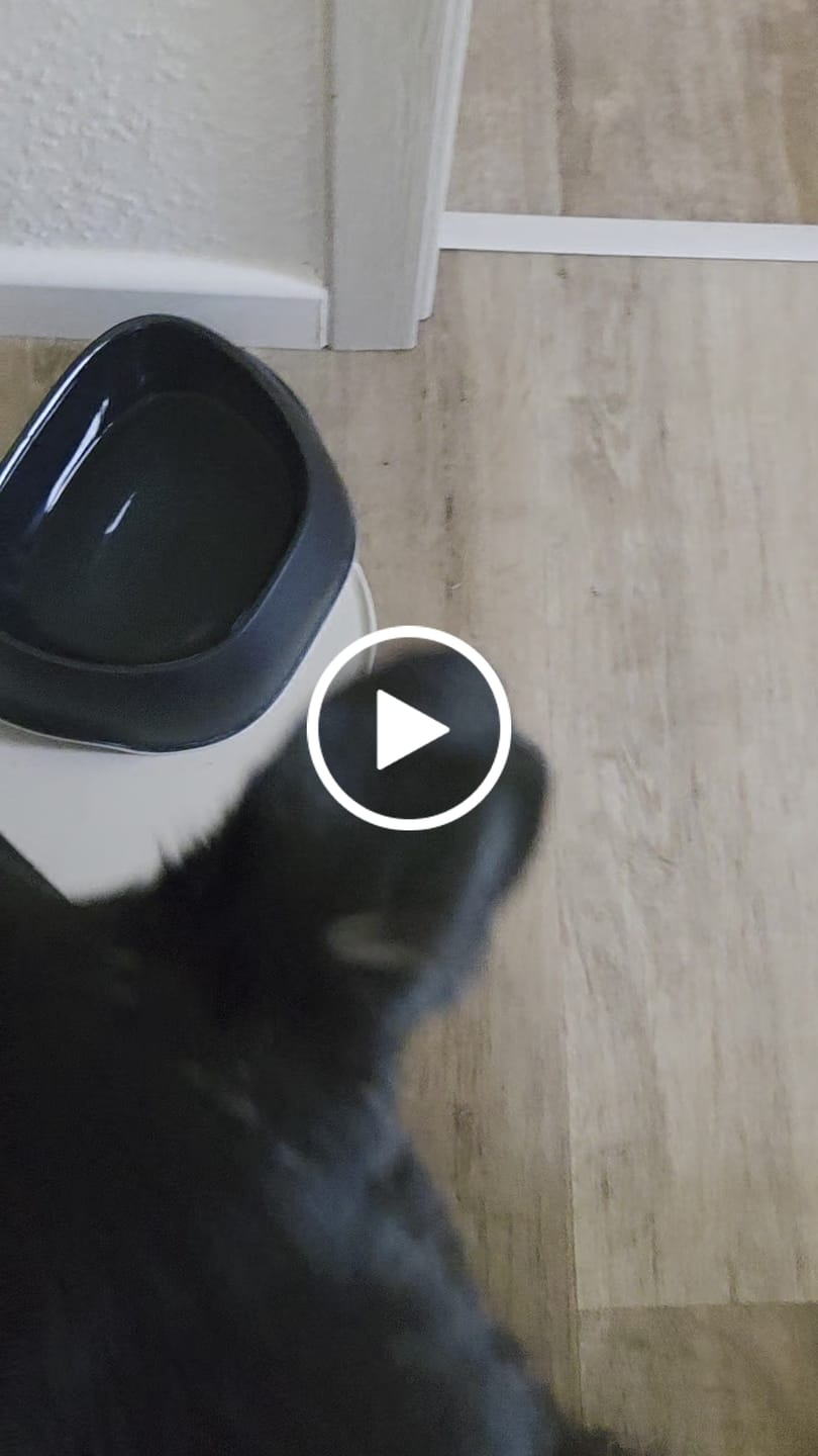 Customer video review of Frischfutter für Energiebedarf von 724 kCal/Tag