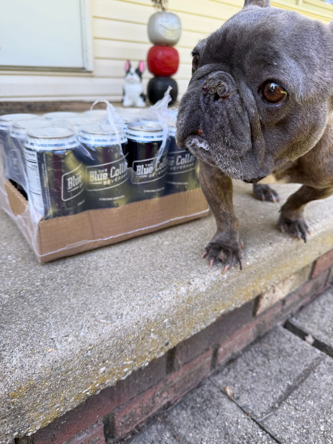 Customer photo review of Mixed Berry: Functional Energy Drink (12 pack)