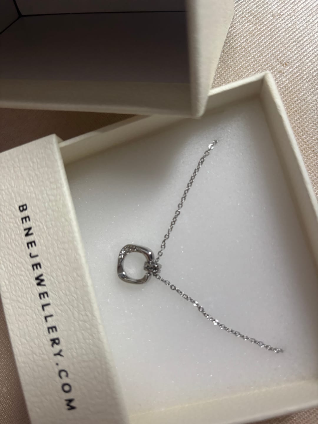 Customer photo review of Celine Loop Necklace