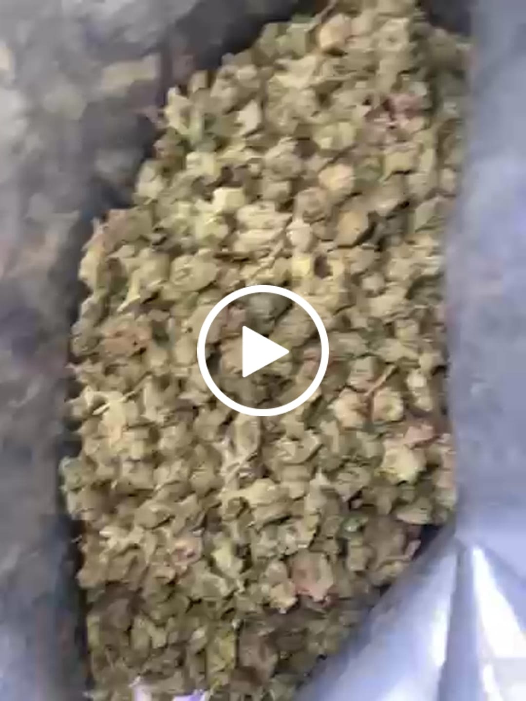 Customer video review of Bulk Indoor THCA Smalls