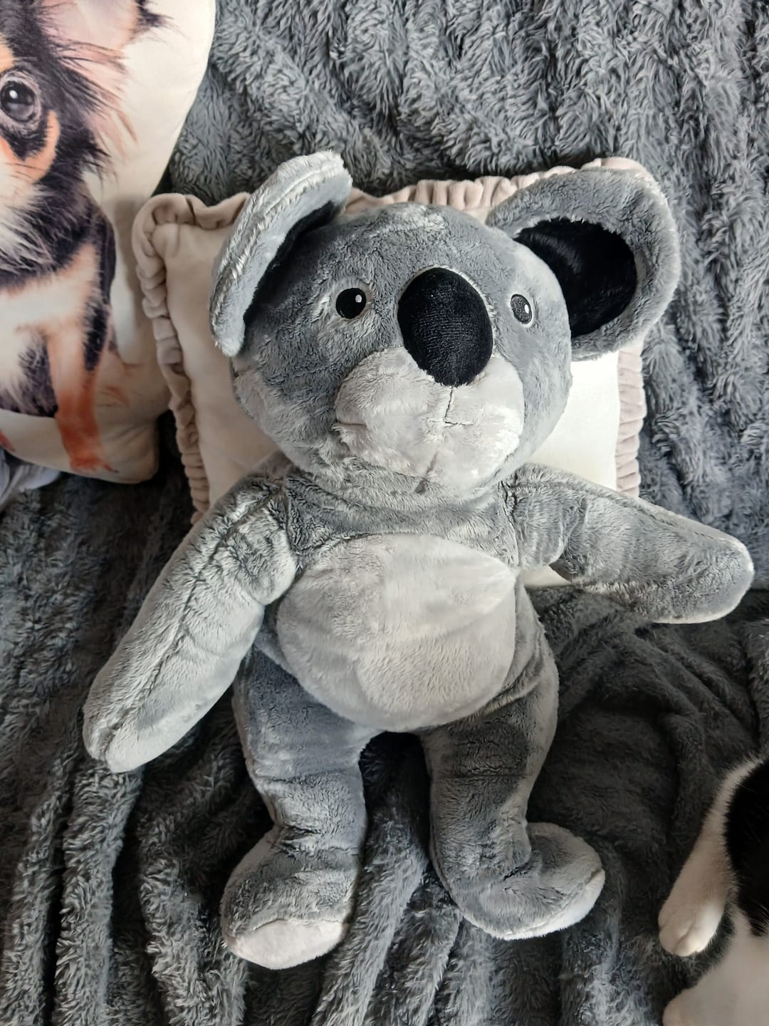 Customer photo review of Lotgenootje Koala 2kg