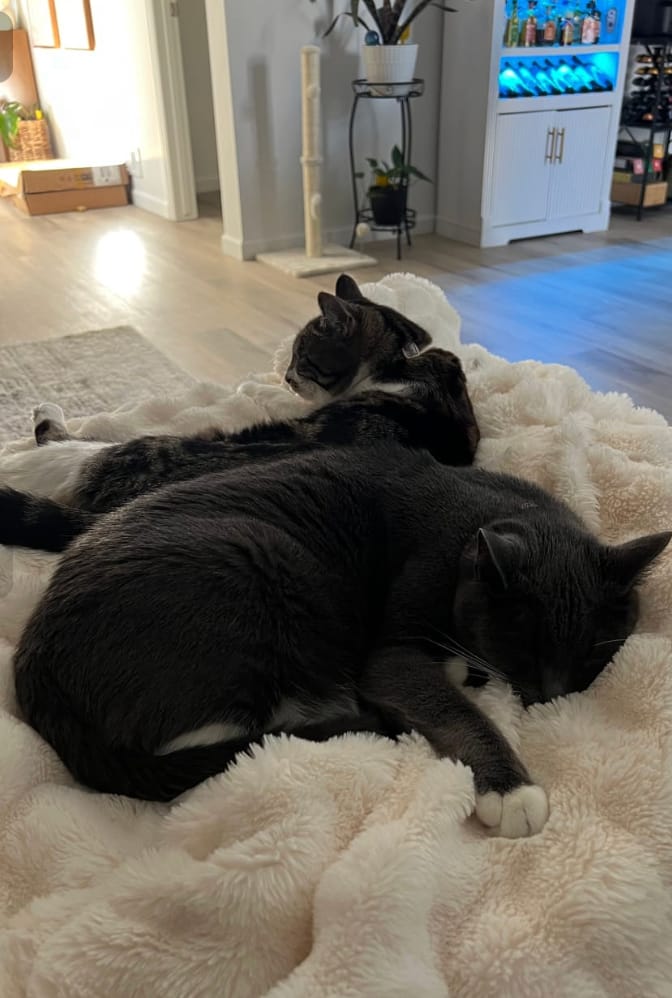 Customer photo review of Lola - The Cloud Blanket
