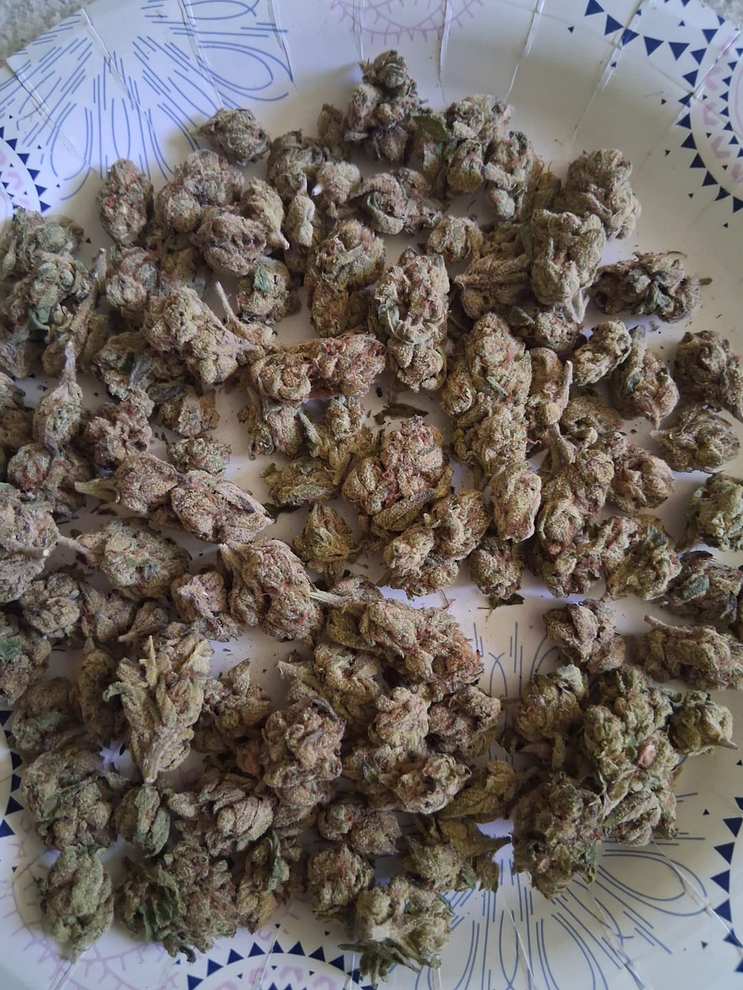 Customer photo review of Banana Pie