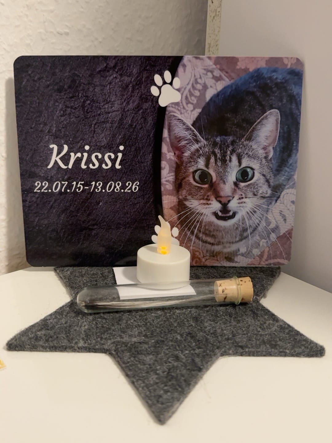 Customer photo review of Katzen Gedenktafel mit Foto & Spruch (UV- & Wetterfest)