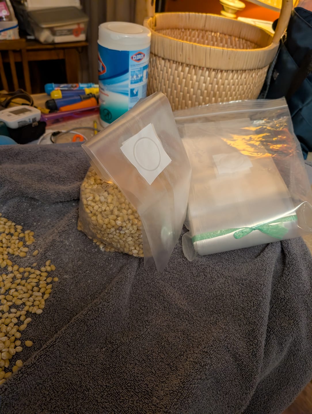 Customer photo review of Premium 0.22 Micron Medium Spawn Bags 5"x4"x20" (50-PACK)