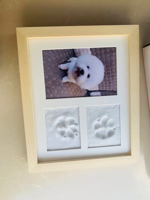 Customer photo review of BeliPaw™ - DIY Pet Paw Print Kit
