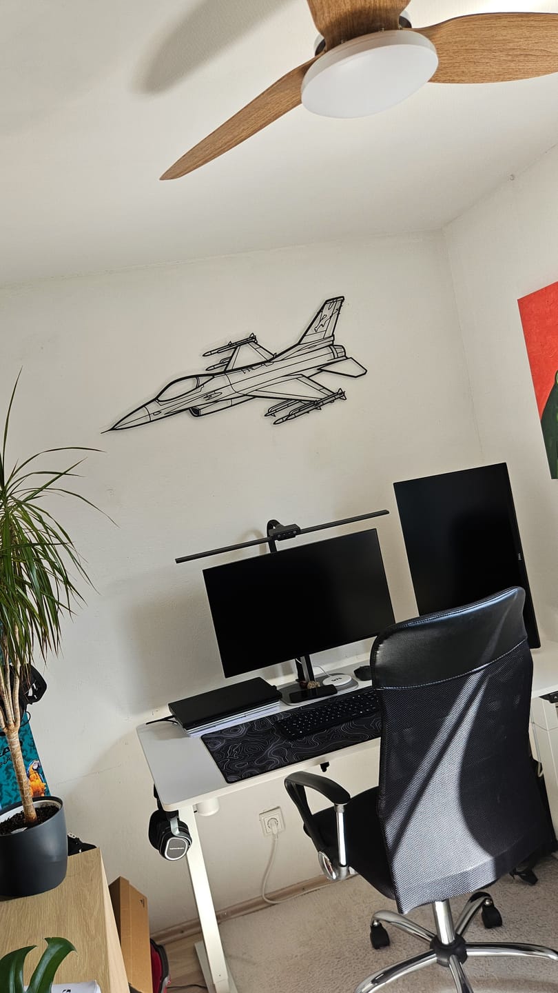 Customer photo review of F-16C Fighting Falcon Angle Silhouette Metal Wall Art