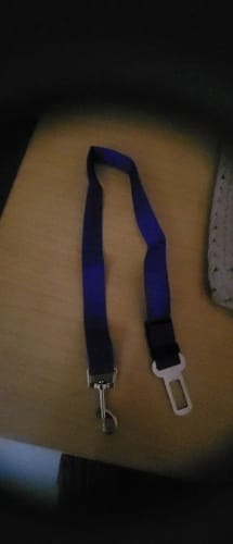 Customer photo review of Dog Safety Seat Belt