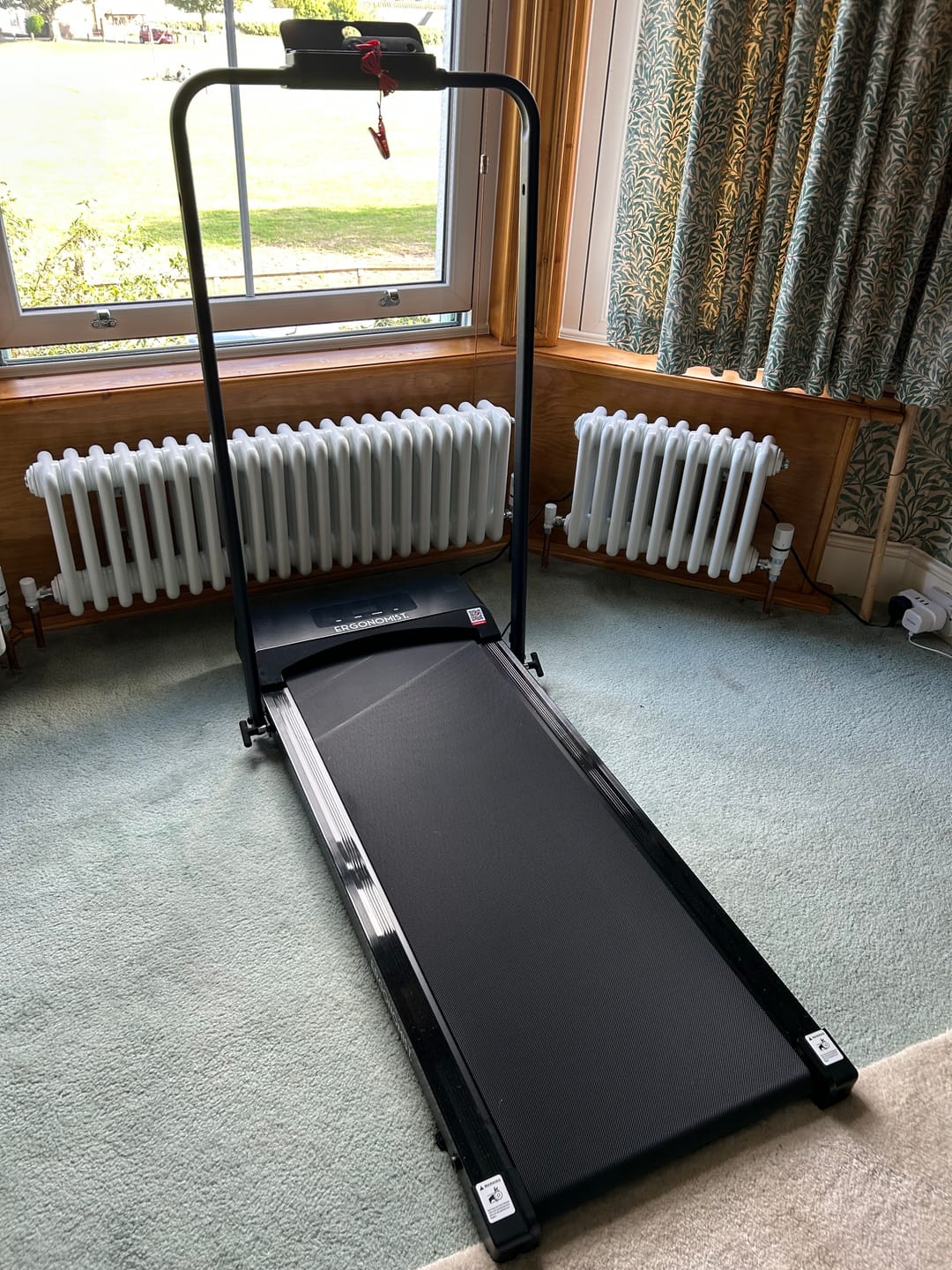 Customer photo review of 4 in 1 Walking Pad | With Foldable Handrails