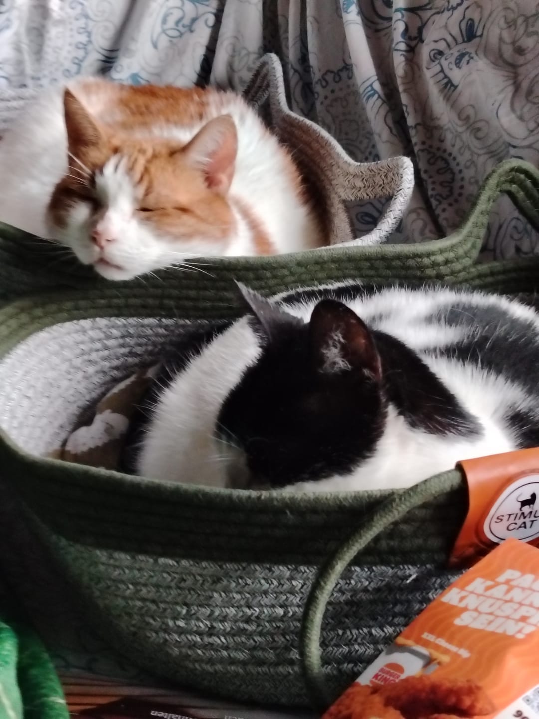 Customer photo review of Instinct Basket | Meet the first research-backed natural territory for indoor cats