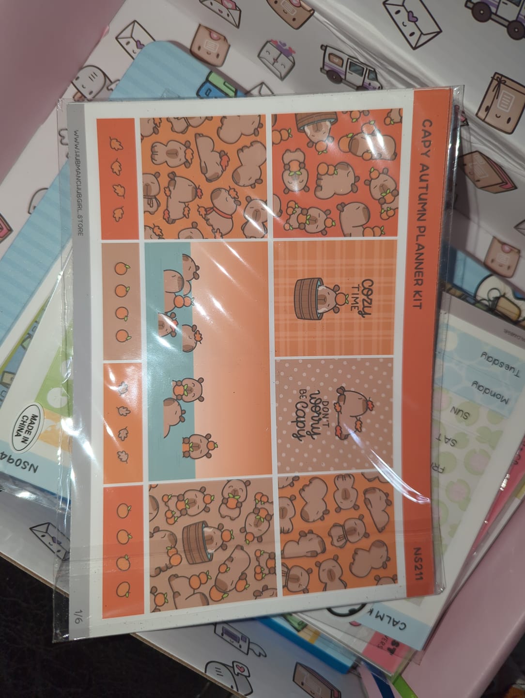 Customer photo review of Capy Autumn Planner Kit (Set of 6)