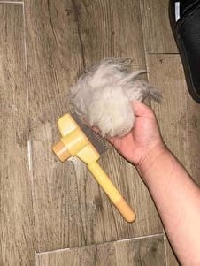 Customer photo review of PatiÖdül™ Masaj Etkili Tüy Temizleyici