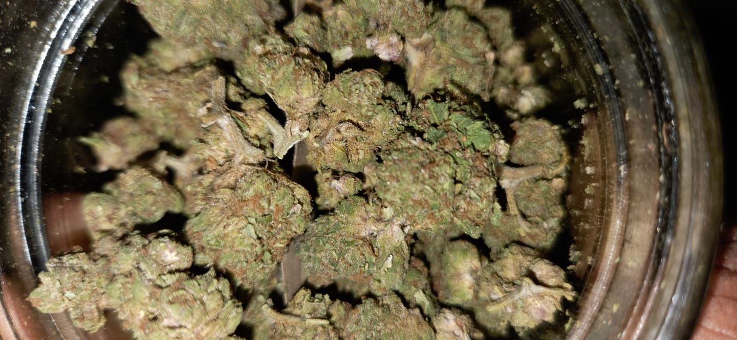 Customer photo review of Cheap THCA Flower Ounce