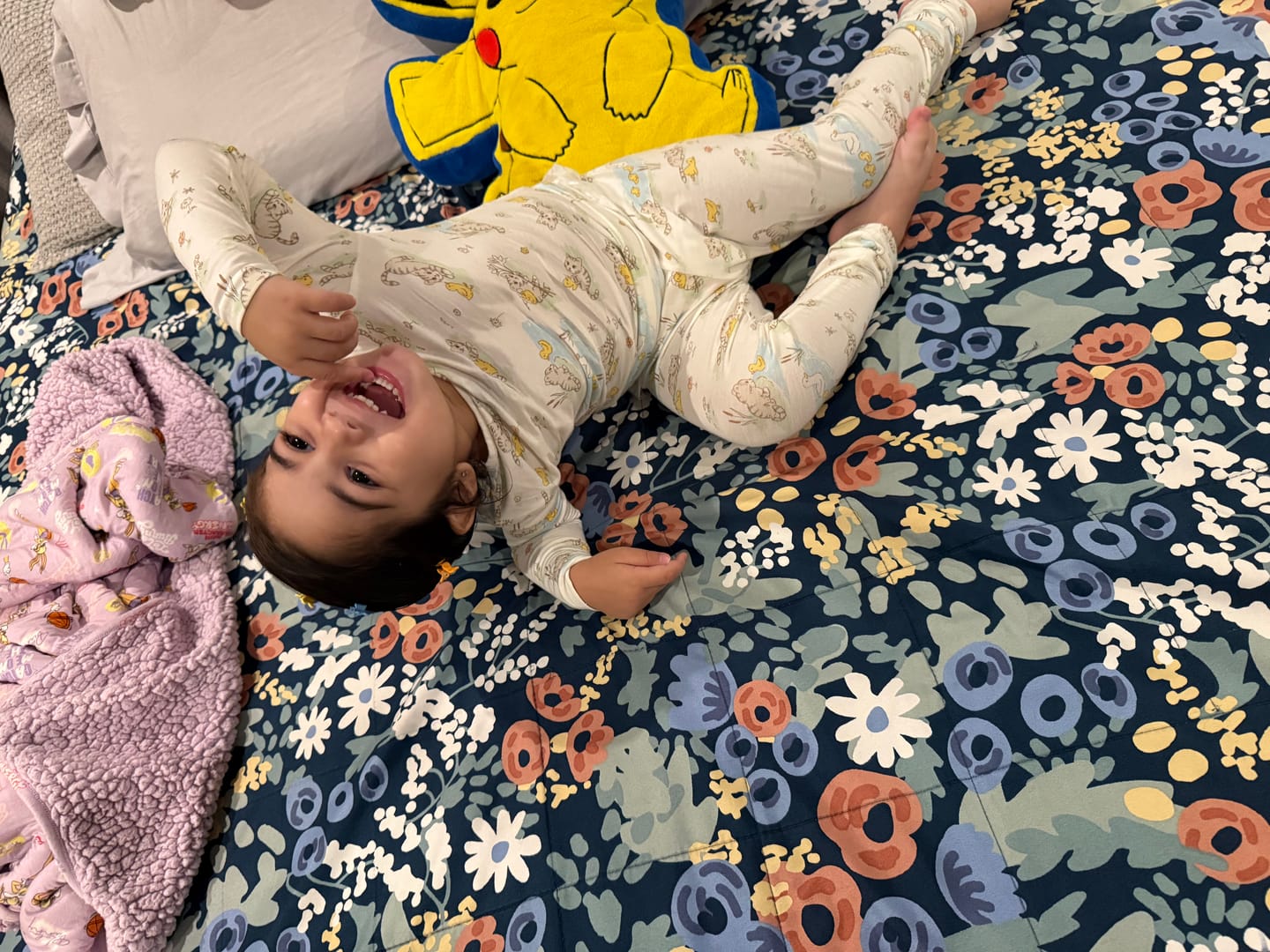 Customer photo review of Gabby's Dollhouse: Sweet Treats Bamboo Sherpa Blanket
