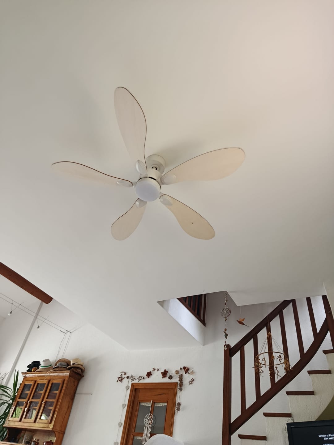 Customer photo review of Libellule | Ventilateur de plafond – Ø 137 cm