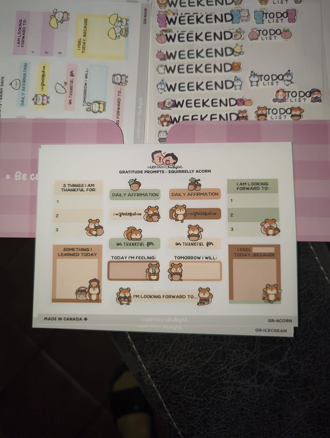 Customer photo review of Sticker Sheet - Gratitude Prompts Squirrelly Acorn Theme