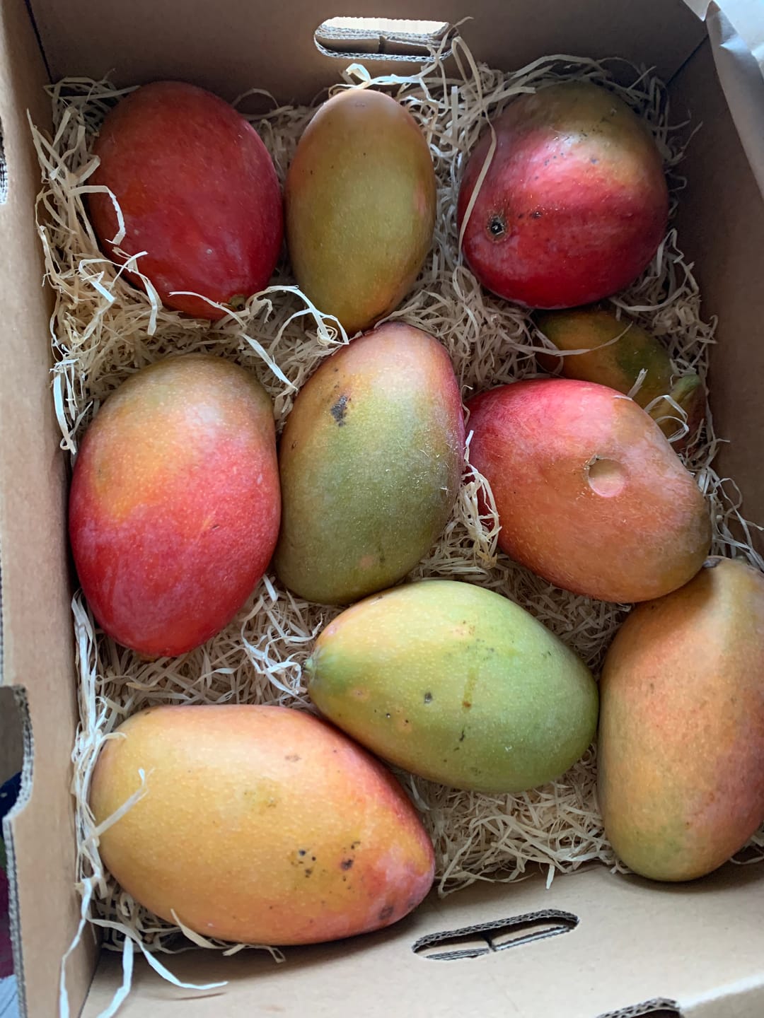 Customer photo review of Mango Osteen von Julian