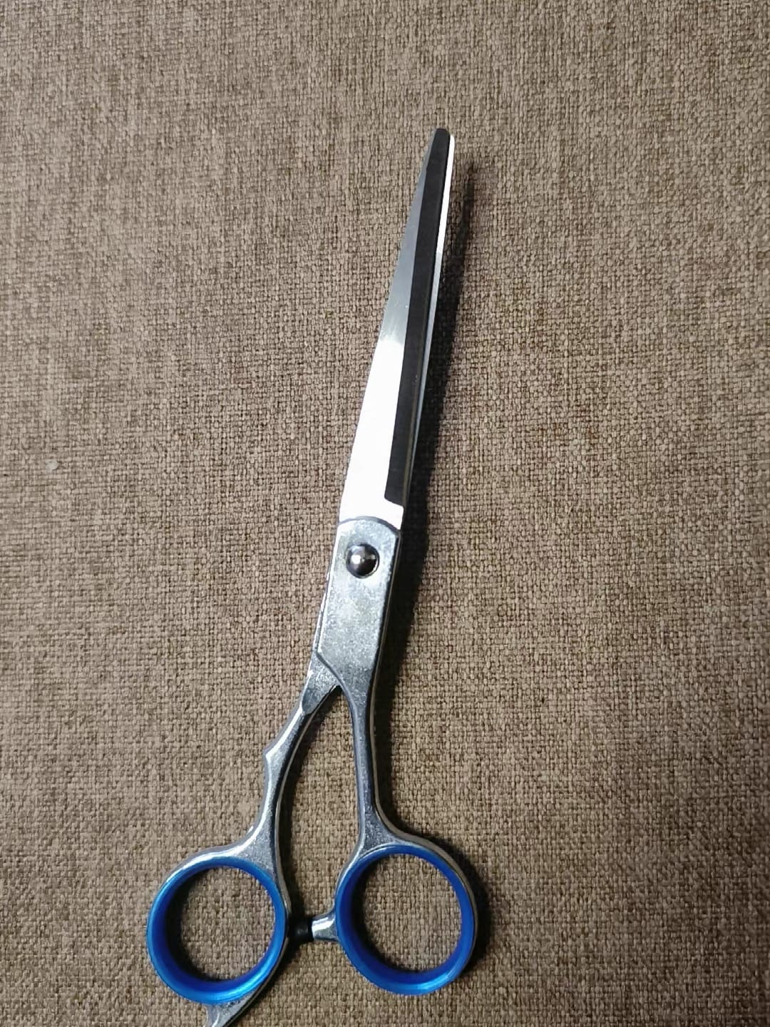 Customer photo review of Stainless Steel Pet Grooming Scissors & Comb