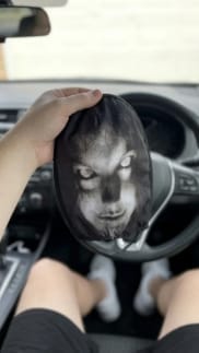 Customer photo review of Spooky Headrest Covers