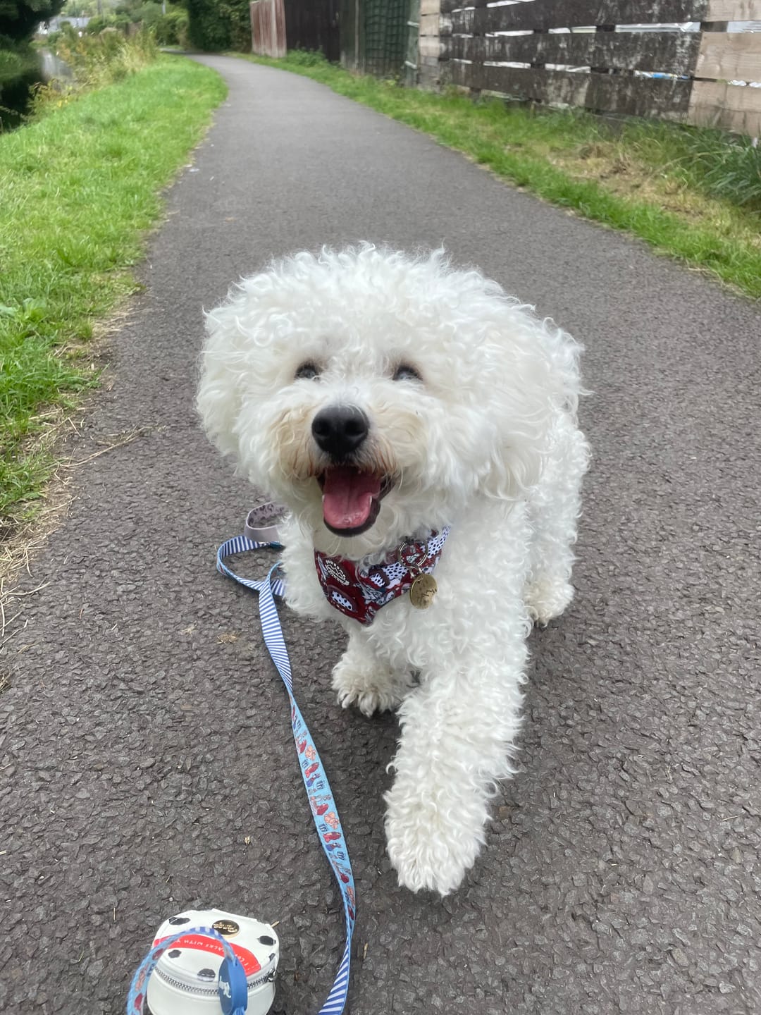Customer photo review of Disney© Tough Trails™ Harness - 101 Dalmatians